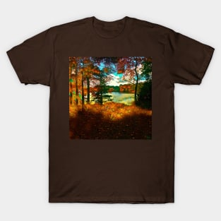 Trees and Shadows in New England T-Shirt